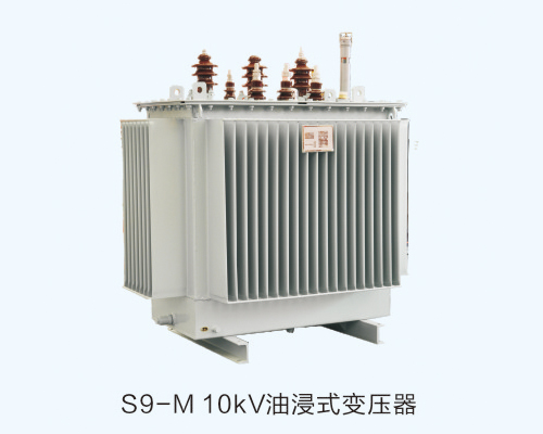 �е�S9-M 10kv�ͽ�ʽ׃����